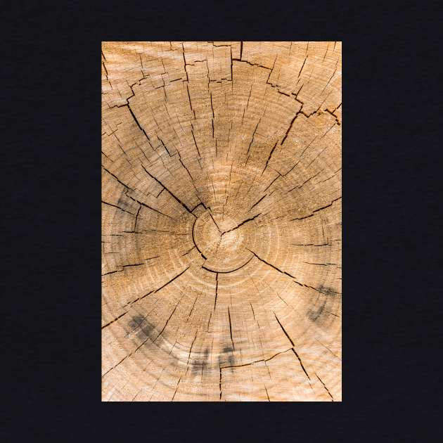 Wooden Tree Circle Texture - Alternative II by textural